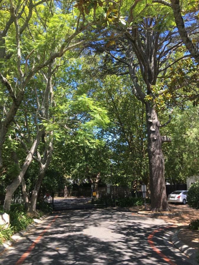 Papenboom Grove * Cape Town