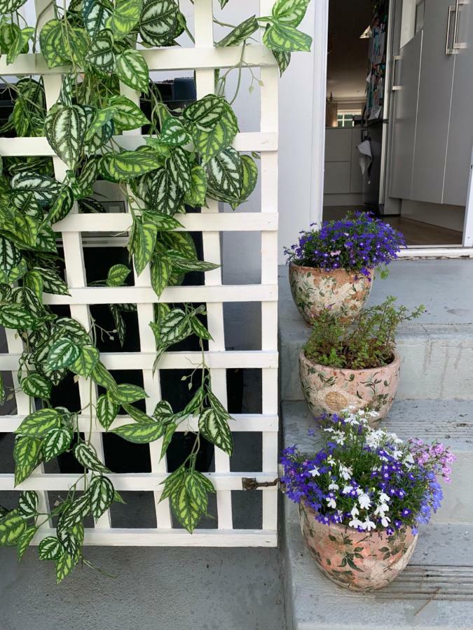 Papenboom Grove Homestay Cape Town